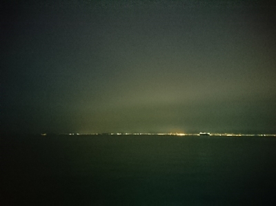 癒しのガッシー