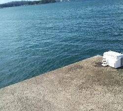 爆風＆激寒っ！