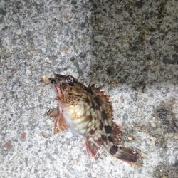 シャローエリアにて