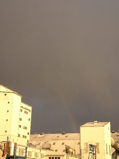 爆風スランプの中、カレイGET！