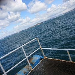 ライブベイトで初釣果！ヒラメGET