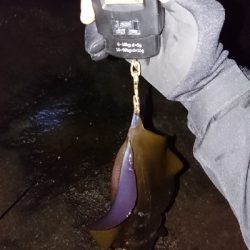 元気よし!水温よし!