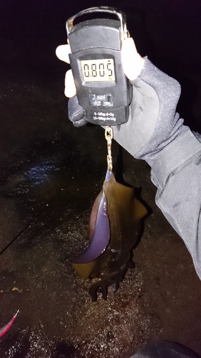 元気よし！水温よし！