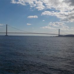 エビ撒きandグレフカセ=メバル