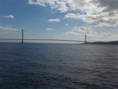 エビ撒きandグレフカセ=メバル