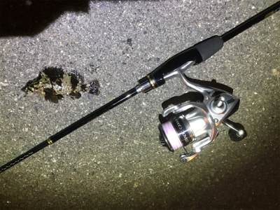 newロッドテスト釣行