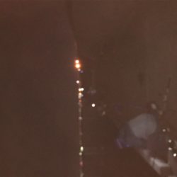 我慢、我慢の釣り