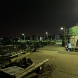 タケノコメバル③