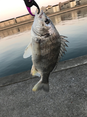 グッドモーニング