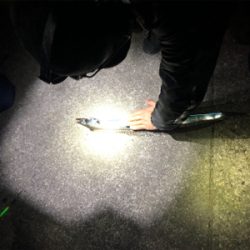 in和歌山　太刀魚釣り