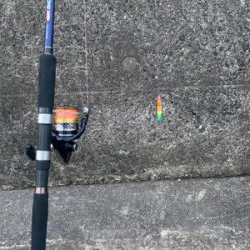 ライトショアジギング