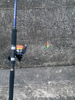 ライトショアジギング