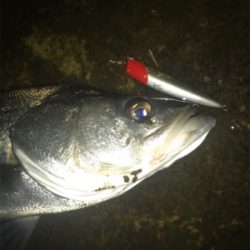 寒いけど釣れます！