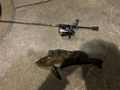 トマトの出張前釣行in八戸