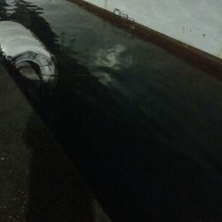 満員で、入る場所がない・・・