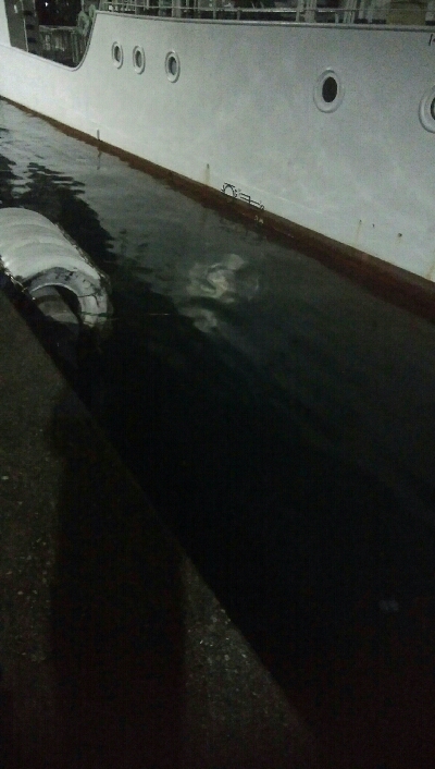 満員で、入る場所がない・・・