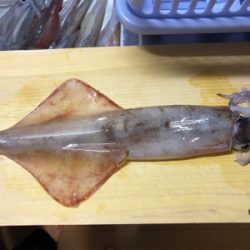 雨、雪が降ろうが、ヤリが降ろうが(^^)