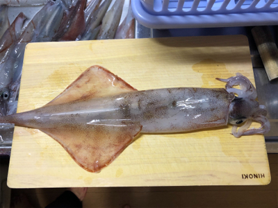 雨、雪が降ろうが、ヤリが降ろうが(^^)