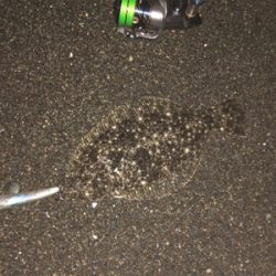 やっと連敗脱出