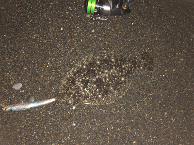 やっと連敗脱出