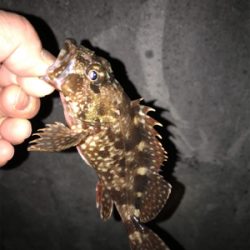 調子が良くなってきた!