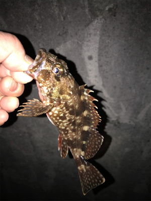 調子が良くなってきた!