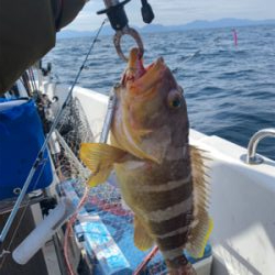 今年初のマイボート釣行