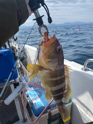 今年初のマイボート釣行
