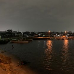 35年ぶりのアブラメ