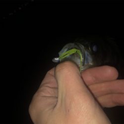 タフコンディション