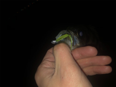 タフコンディション