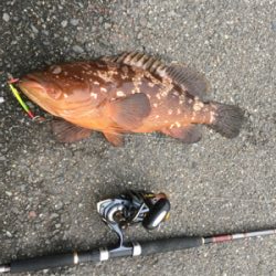 やったぜ！50オーバー！