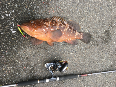 やったぜ！50オーバー！