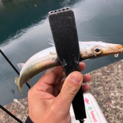 ライトゲーム♪