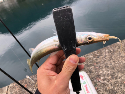 ライトゲーム♪