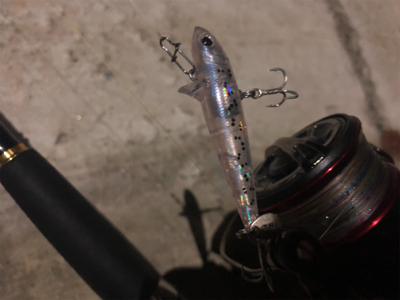 バレンタインシーバス