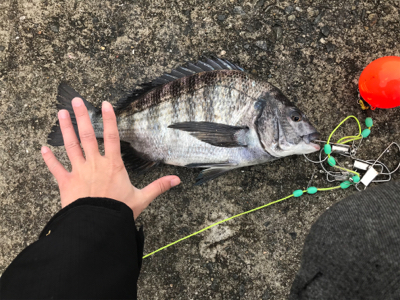 西宮ケーソンへエビまき釣り