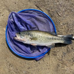 寒い中の１匹！！