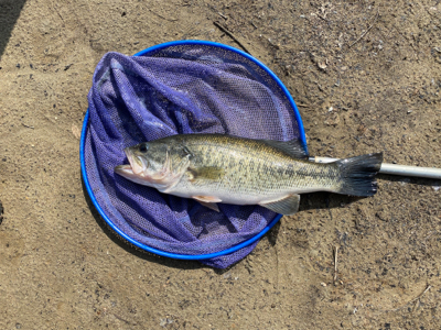 寒い中の１匹！！