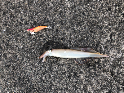 渋い中で何とか1杯