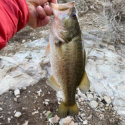 暖かい日差しが続くので釣りに行きました！！