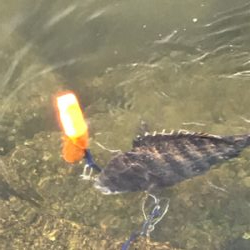 丘はポカポカ、水中はシブシブ