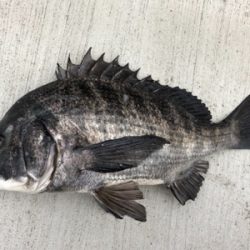 雨が降るまでに時短釣行