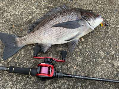 外道で大物ゲスト
