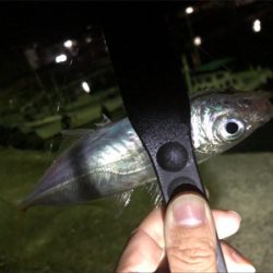 ライトゲーム♪