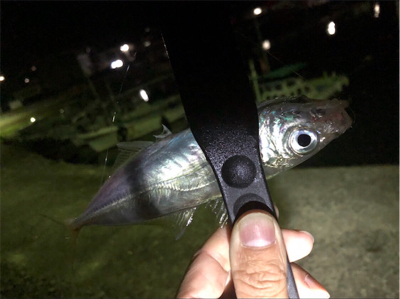 ライトゲーム♪