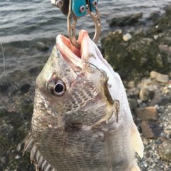 淀川ブリームゲーム 爆風デイゲーム