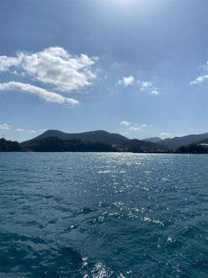 ライトショアジギング