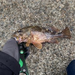 雨降らんってゆうてたやん！