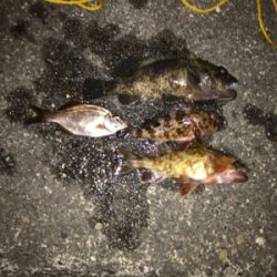 大荒れ三春町岸壁